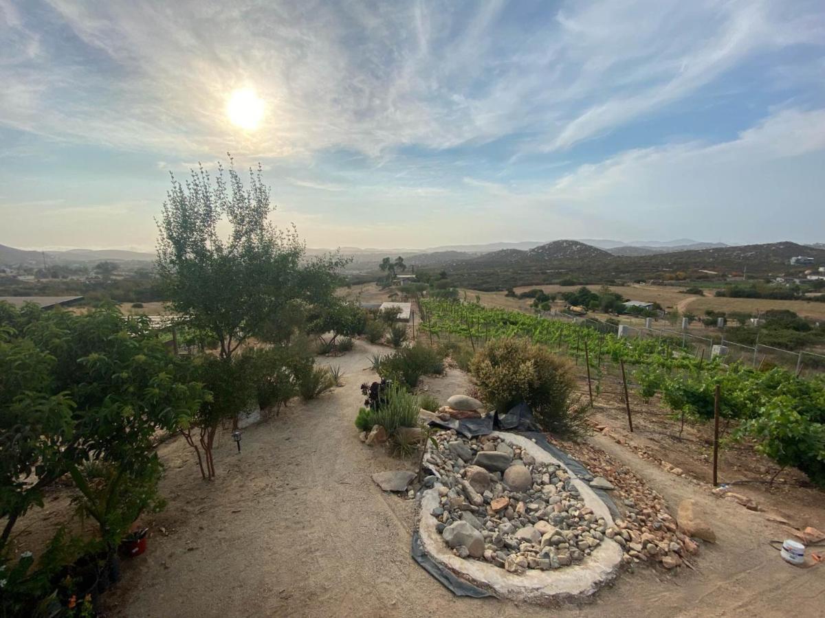 Chalet Nativo - Fabulous Terrace & Vineyard Valle de Guadalupe Exterior foto